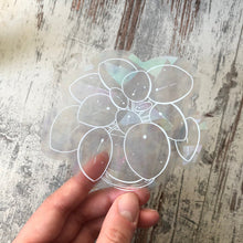 Load image into Gallery viewer, Rainbow Maker - Pilea White