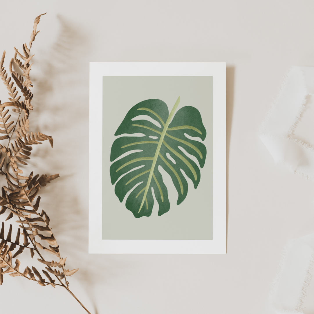 Kaart - Monstera