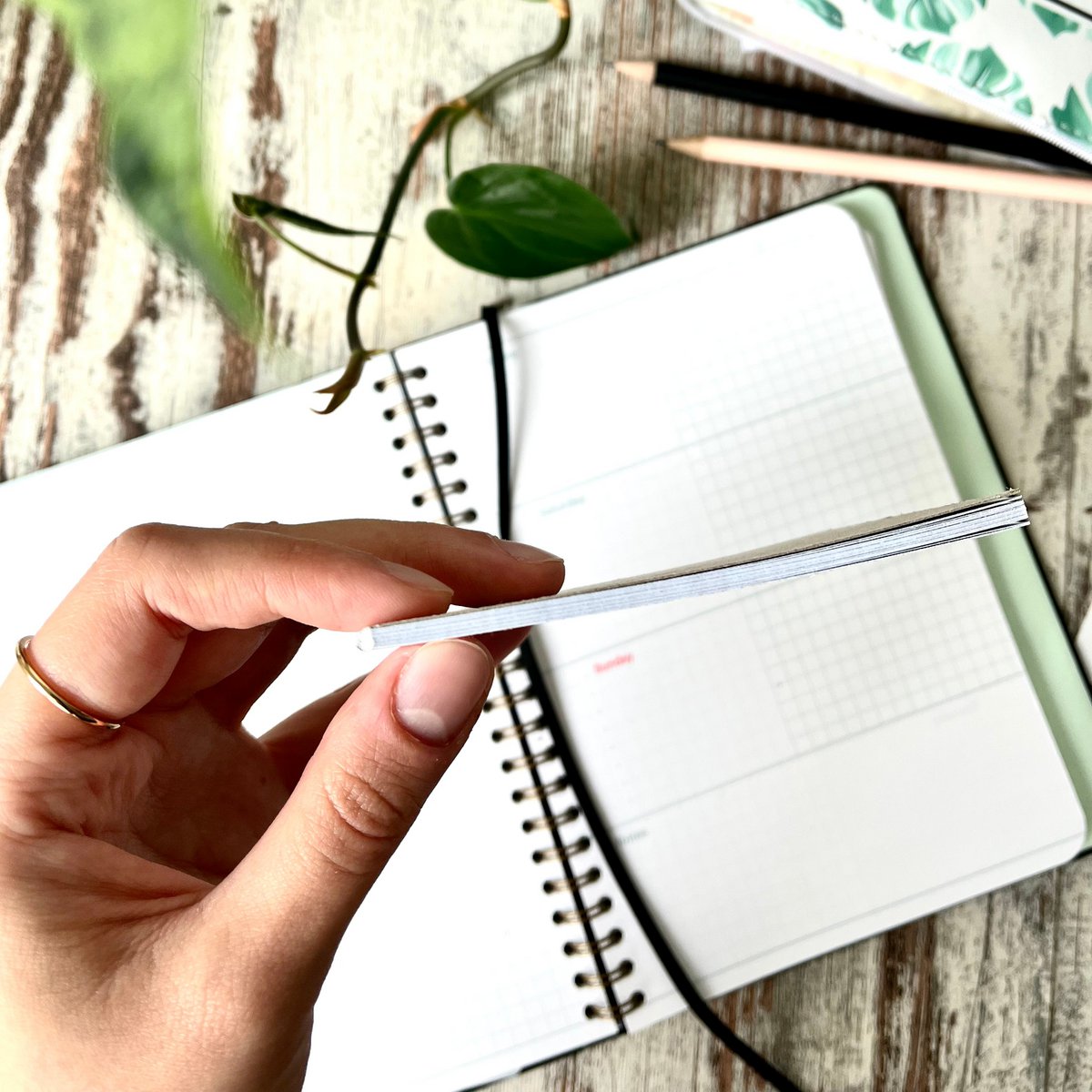 Notepad A7 - Monstera Adansonii