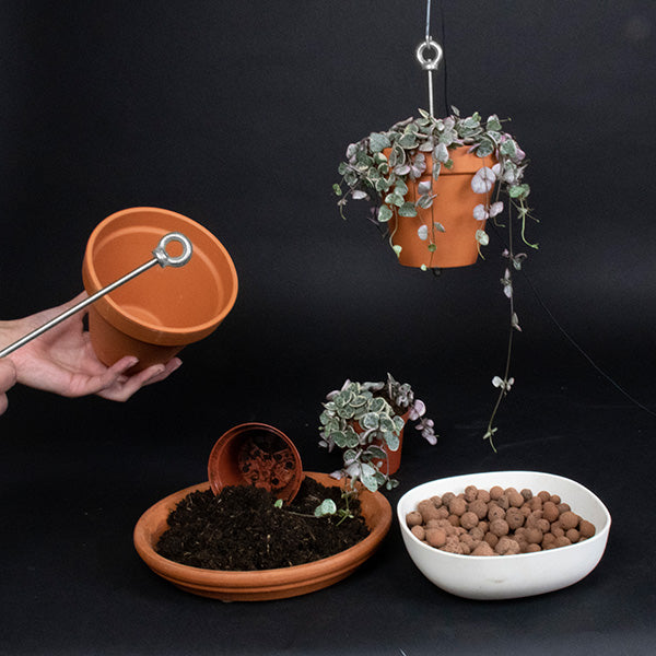 Bolty - Hanging System For Plant Pots