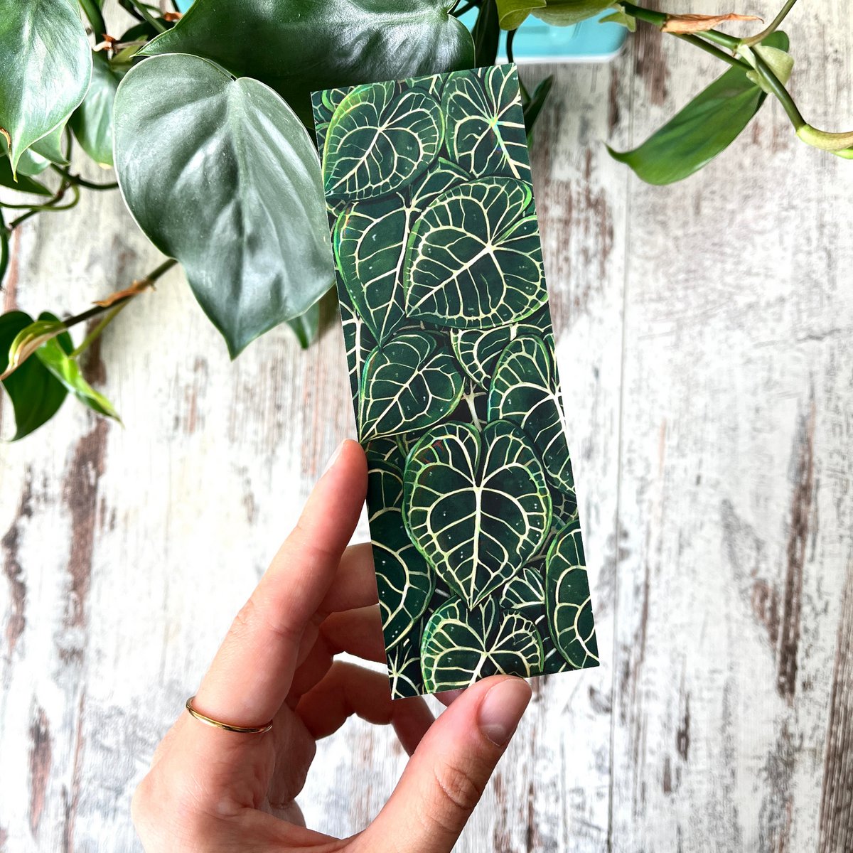 Bookmark - Anthurium Clarinervium