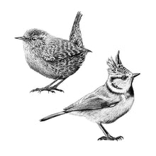 Afbeelding in Gallery-weergave laden, Muurstickers - Kuifmees & Winterkoning