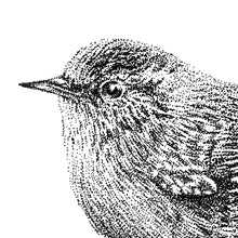 Afbeelding in Gallery-weergave laden, Muurstickers - Kuifmees & Winterkoning