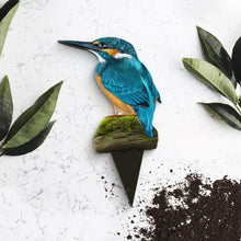 Afbeelding in Gallery-weergave laden, Plantensteker - Ijsvogel