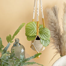 Load image into Gallery viewer, macramé kit - kasbah