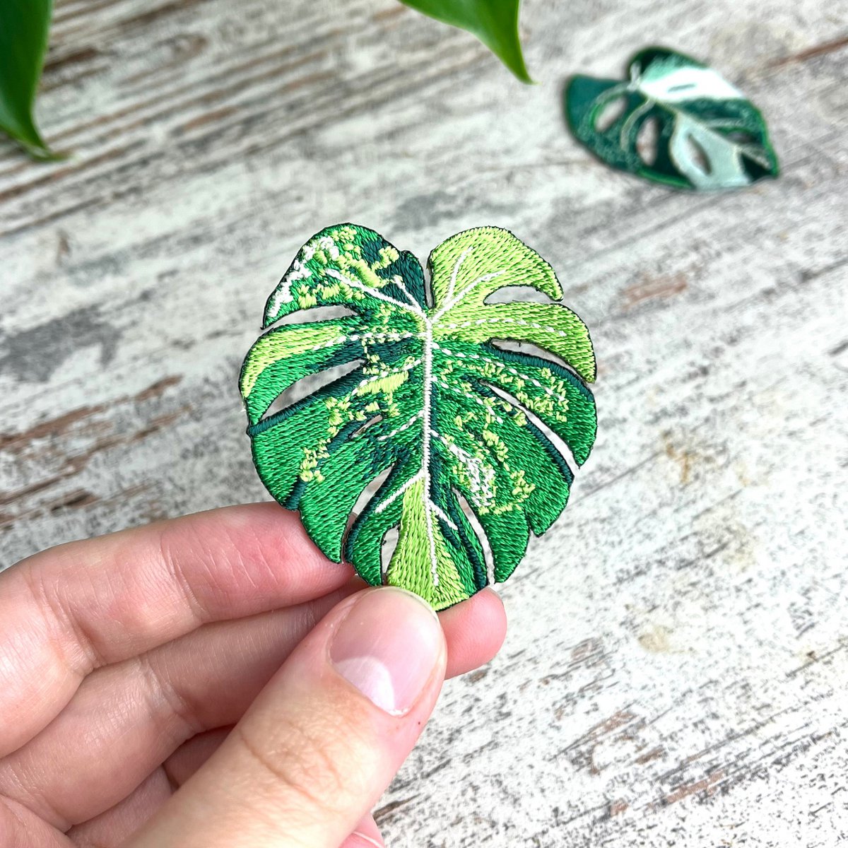 Strijkembleem - Monstera Aurea