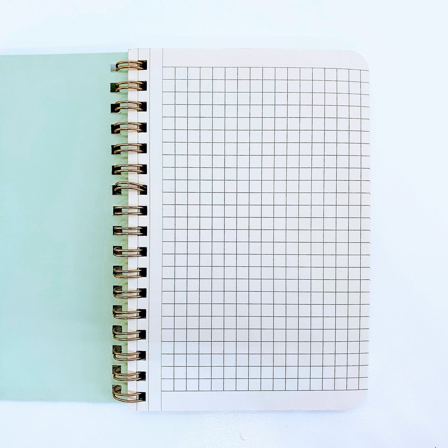 Leaves Notebook - Squared