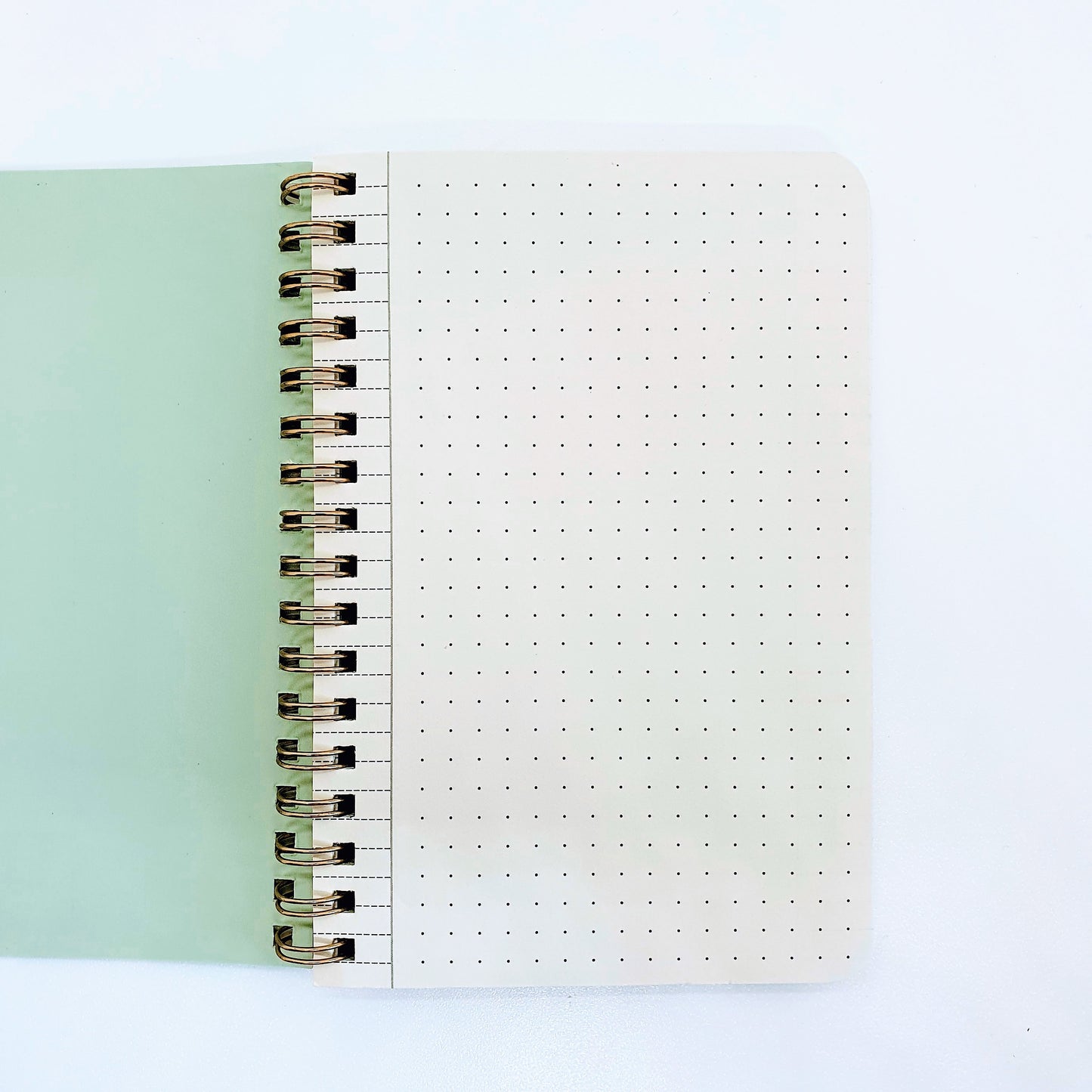 Leaves Notebook - Bullet