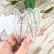 Load image into Gallery viewer, Rainbow Maker - Philodendron