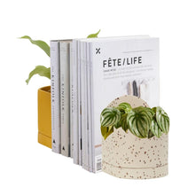 Load image into Gallery viewer, Sol Planter - Fossil Terrazzo