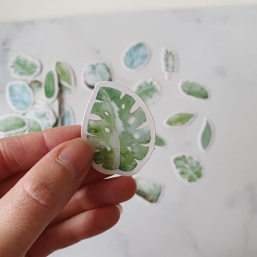 Sticker Set - Mint