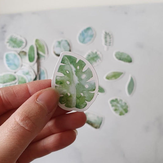 Sticker Set - Mint