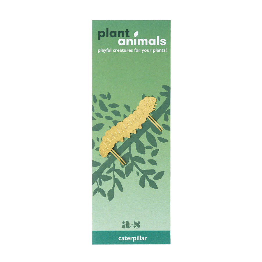 Plantendiertje - Rups
