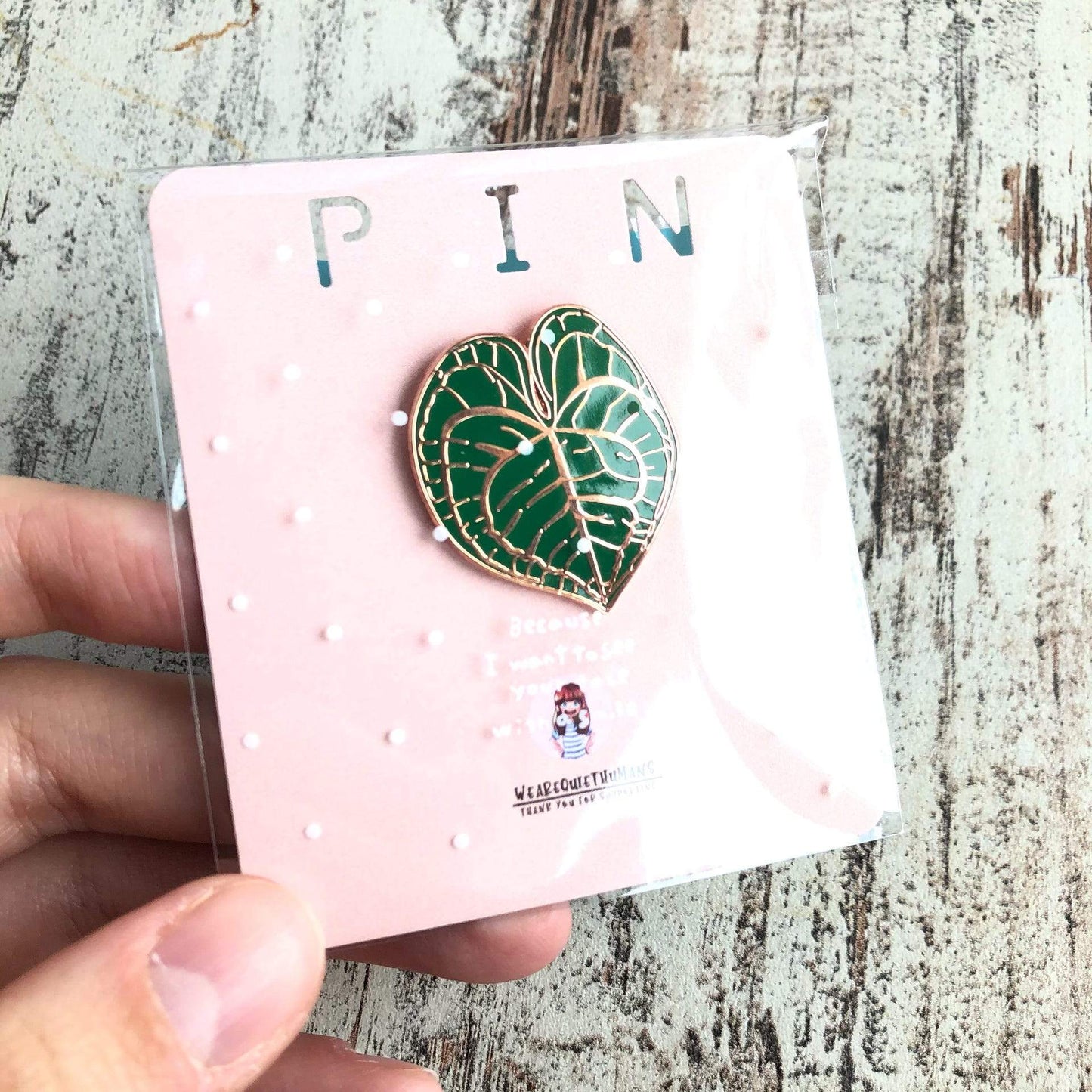 Pin - Anthurium Clarinervium