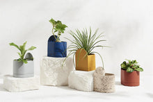Load image into Gallery viewer, Sol Planter - Fossil Terrazzo