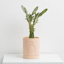 Load image into Gallery viewer, Etch Planter - Salt