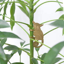 Load image into Gallery viewer, Plant Animal - Bush Baby