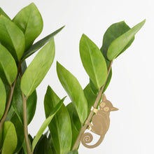 Load image into Gallery viewer, Plant Animal - Bush Baby