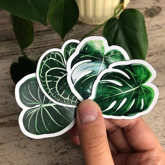 Magneten Set 3 - Planten