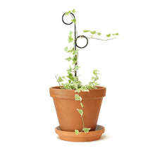 Load image into Gallery viewer, Plant Stake Mini - Perch - Black