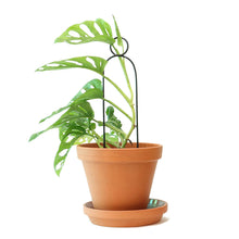 Load image into Gallery viewer, Plant Stake Mini - Pompom - Black