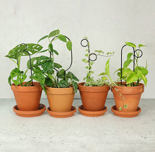 Load image into Gallery viewer, Plant Stake Mini - Perch - Black