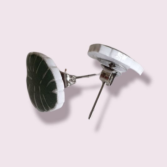 Monstera Oorringen Groen