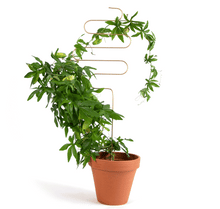 Load image into Gallery viewer, Plant Stake - Arch