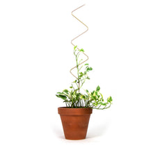 Load image into Gallery viewer, Plant Stake - Zigzag