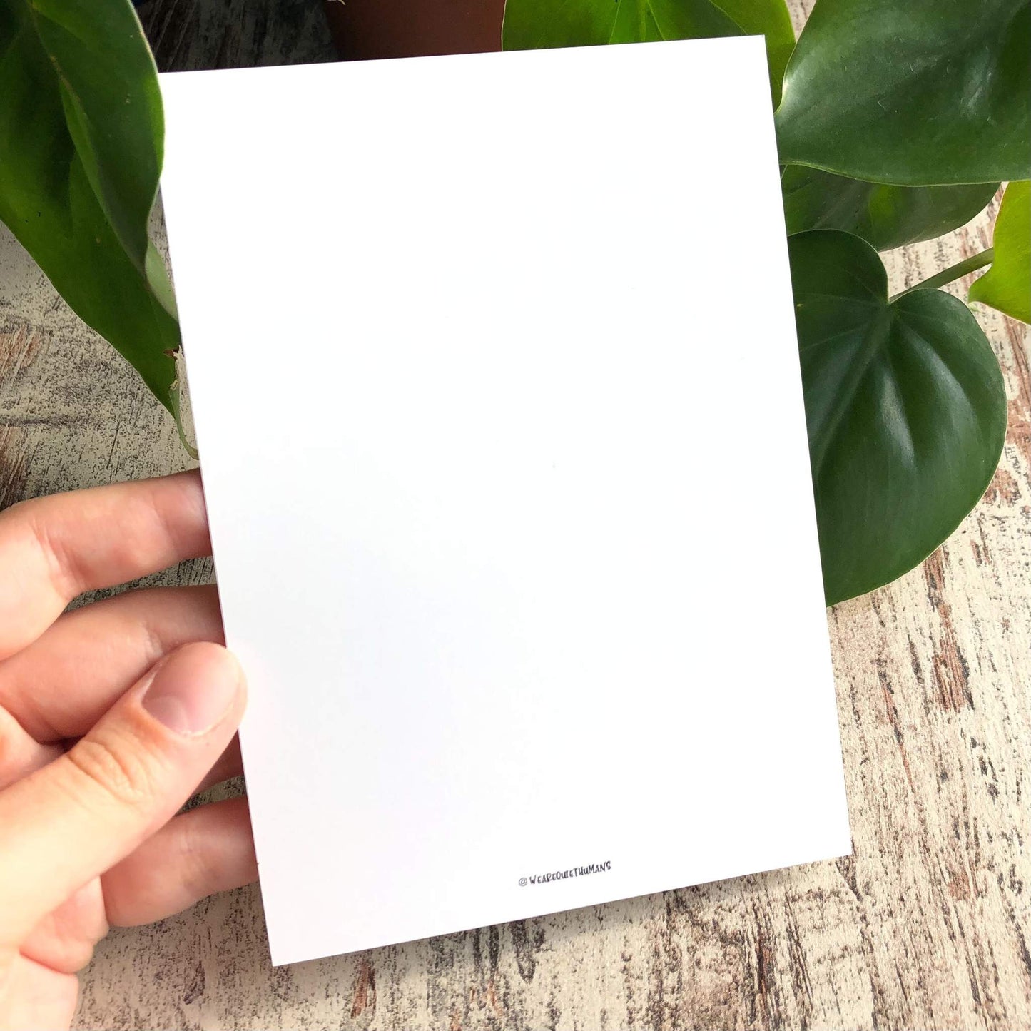 Postcard - Leaves Mix