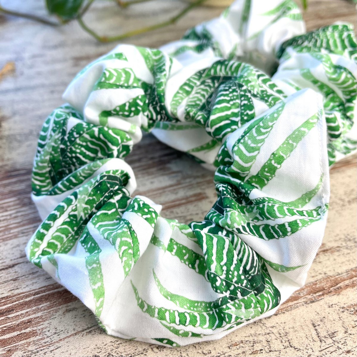 Scrunchie - Haworthia