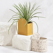 Load image into Gallery viewer, Sol Planter - Fossil Terrazzo