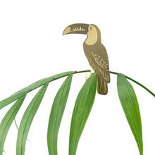 Load image into Gallery viewer, Plant Animal - Toucan