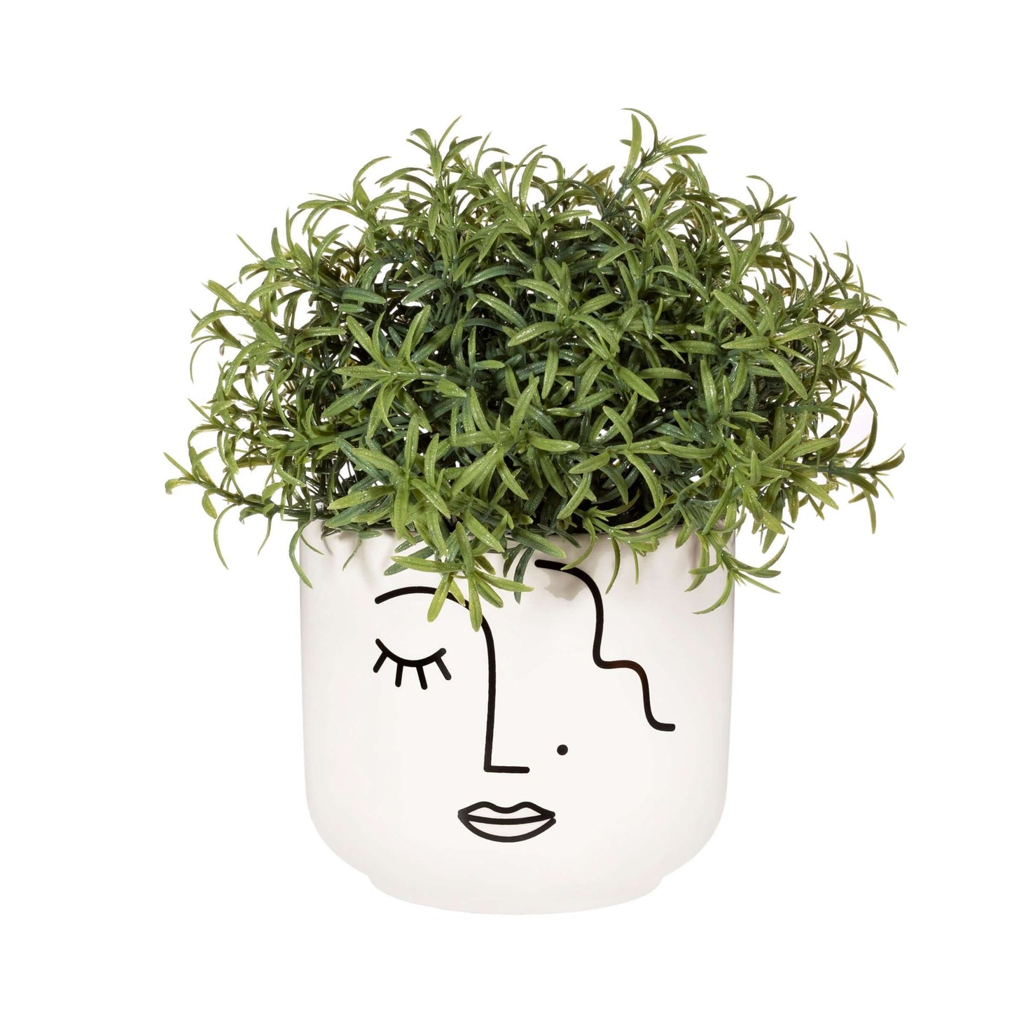 sass&belle planter face