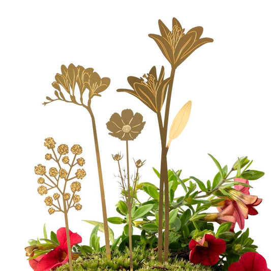planten accessoires