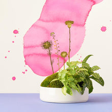Afbeelding in Gallery-weergave laden, messing bloemen plant