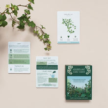 Afbeelding in Gallery-weergave laden, houseplant care cards