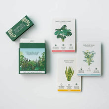 Afbeelding in Gallery-weergave laden, houseplant care cards
