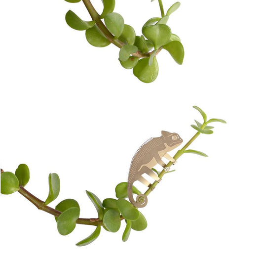 Plantendiertje - Kameleon