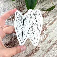 Load image into Gallery viewer, Rainbow Maker - Philodendron