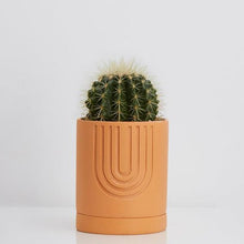 Load image into Gallery viewer, Etch Planter - Desert