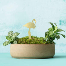 Load image into Gallery viewer, Plant Animal - Flamingo