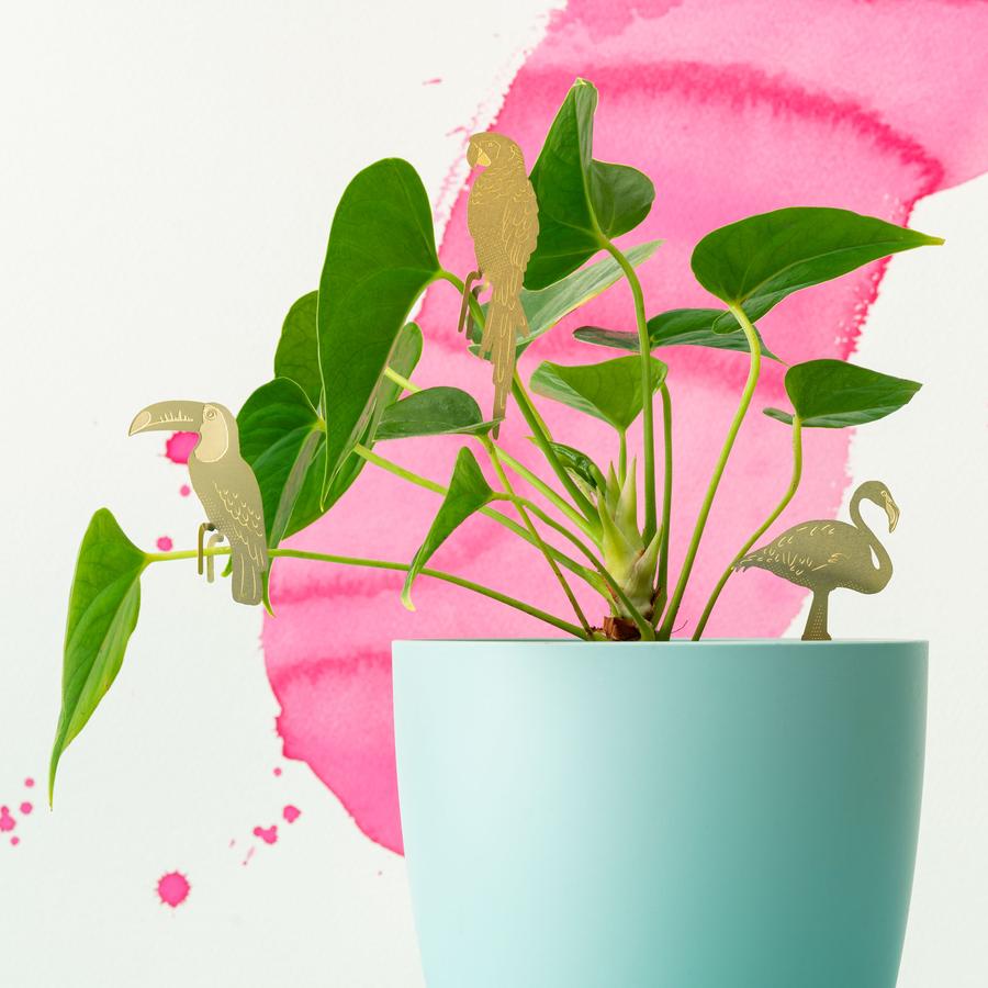 Plant Animal - Flamingo