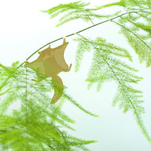 Load image into Gallery viewer, Plant Animal - Flying Squirrel
