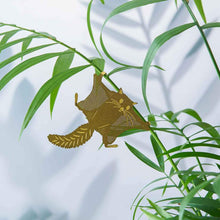 Afbeelding in Gallery-weergave laden, Plantendiertje - Vliegende eekhoorn
