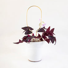 Load image into Gallery viewer, Plant Stake Mini - Hoop - Gold