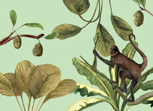 Load image into Gallery viewer, Postcard Set - Jungle