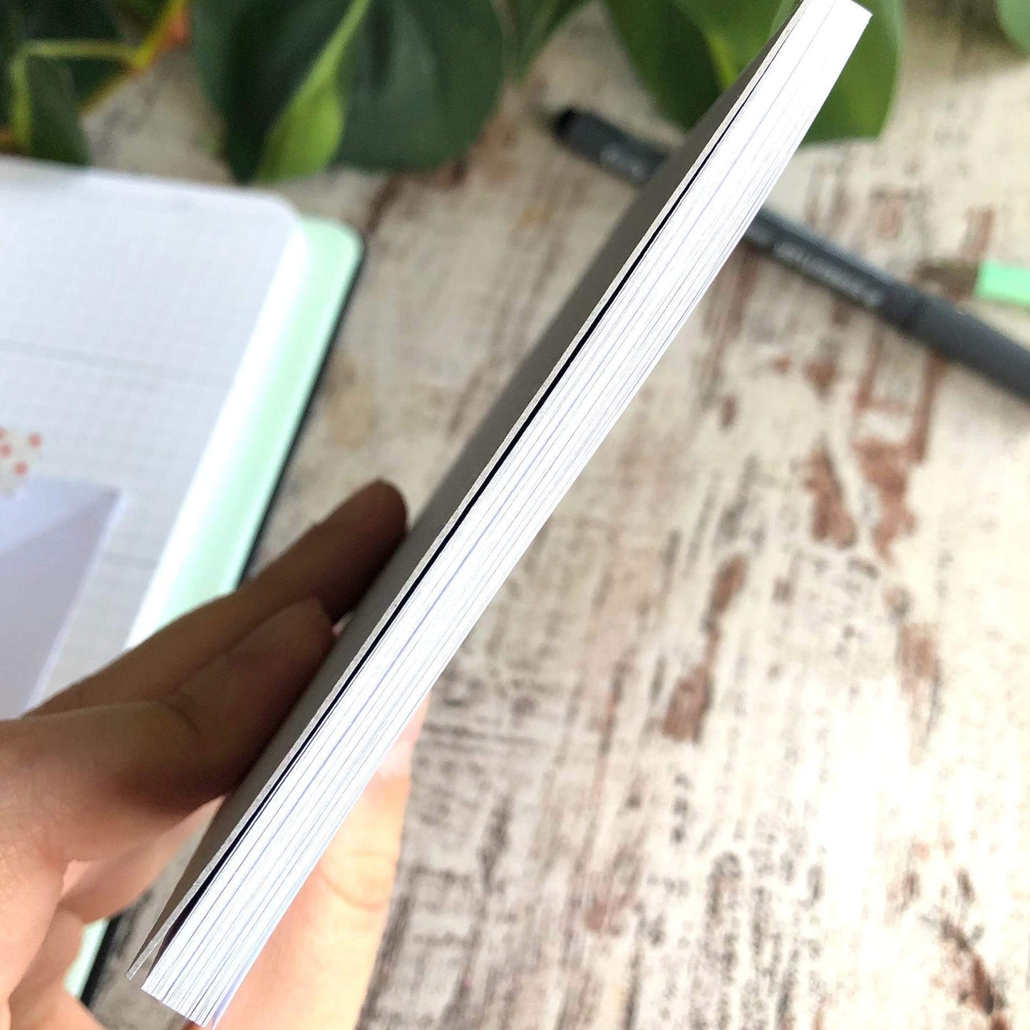 Notepad - Philodendron Micans