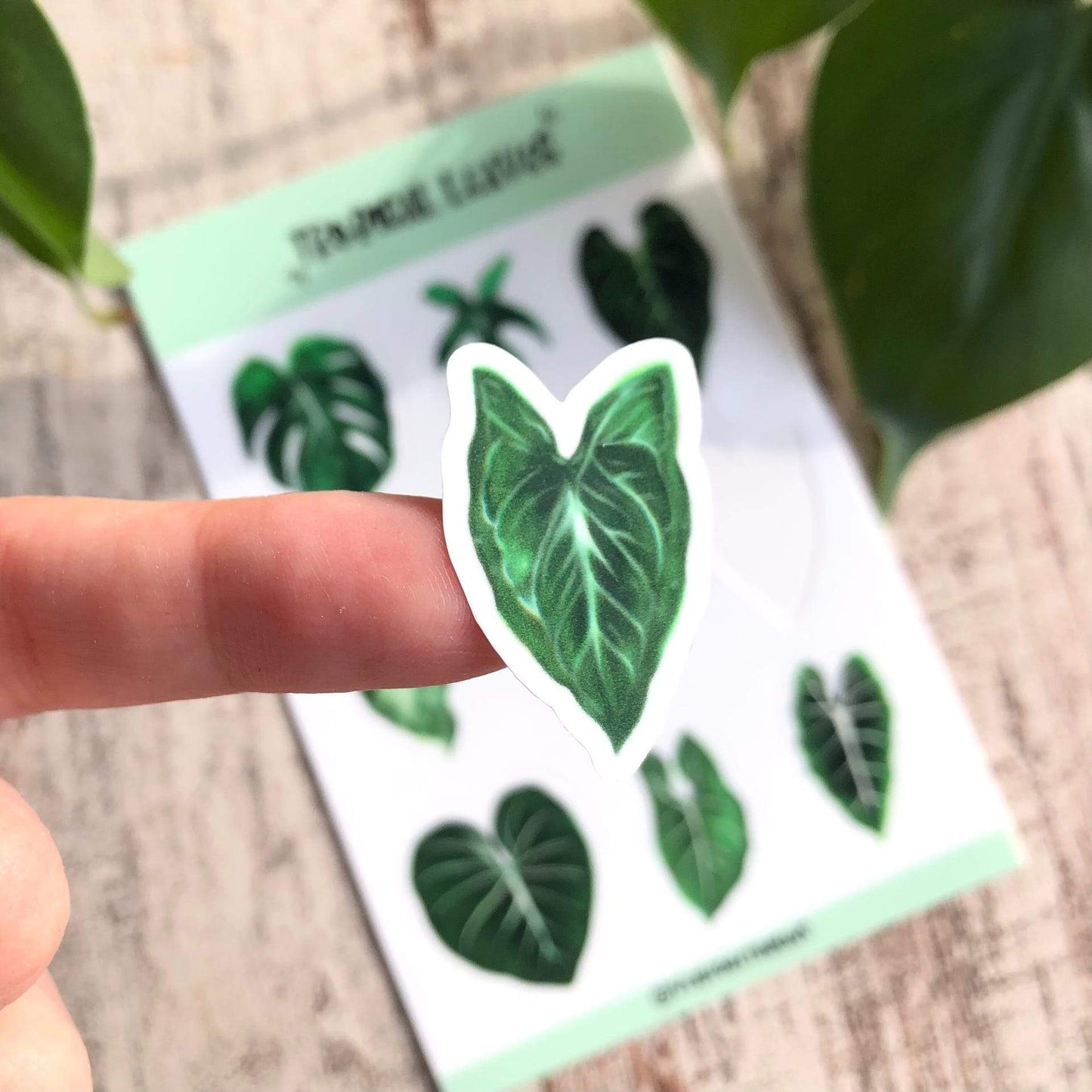 Stickervel - Tropische Blaadjes
