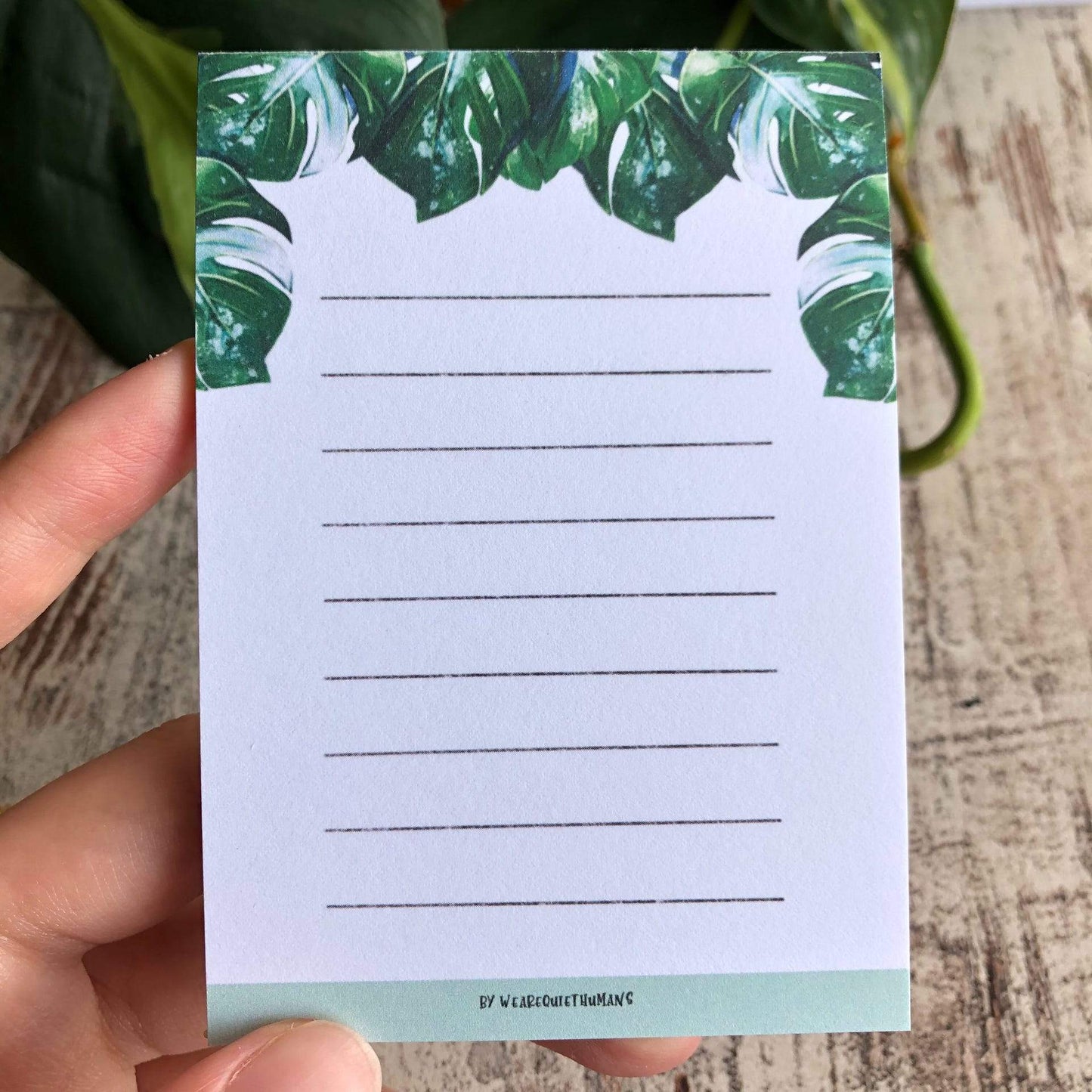 Notepad - Monstera Variegata A7